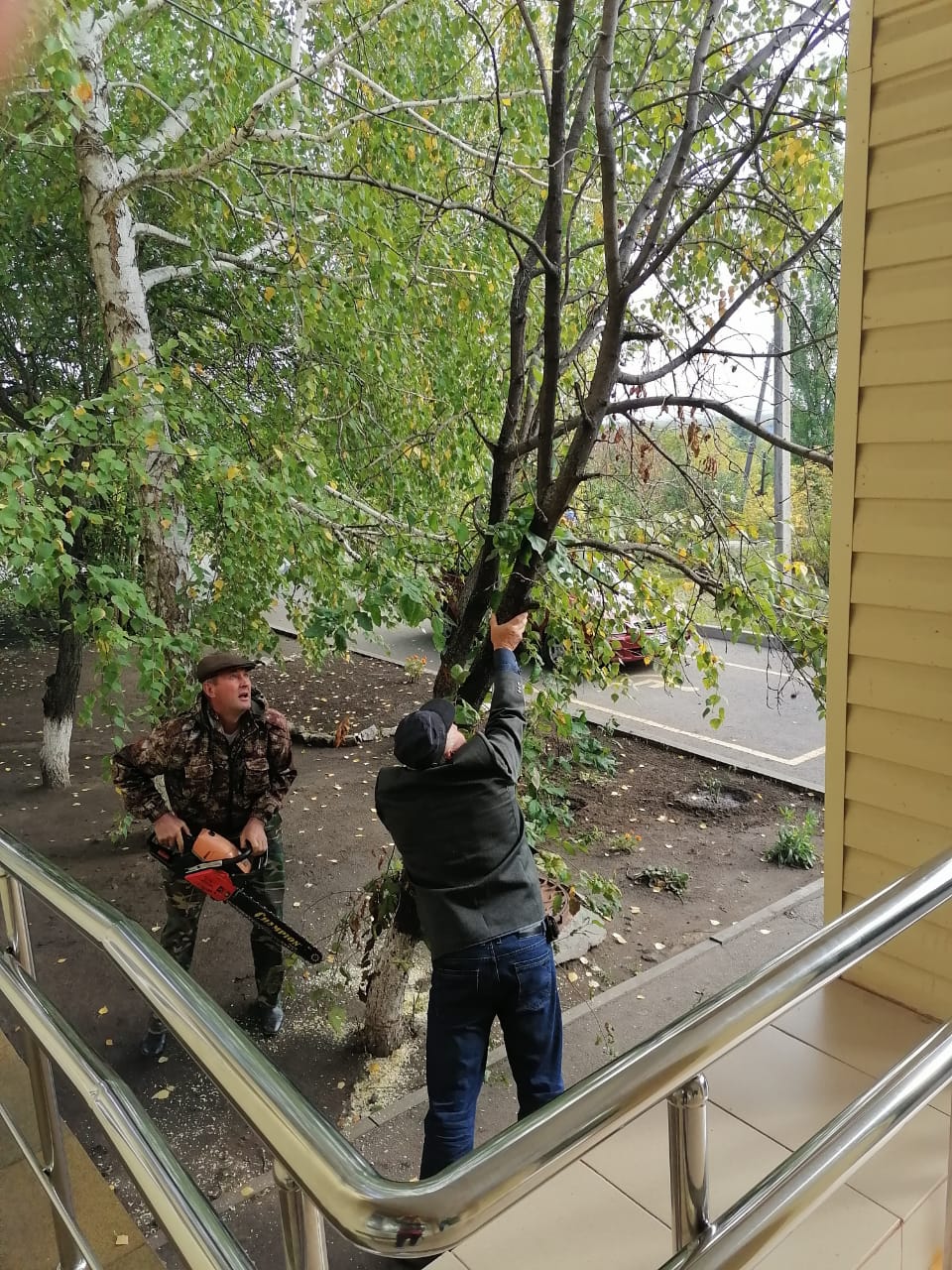 IMG-20210924-WA0011