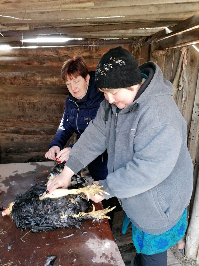 photo 03 04 2025 02