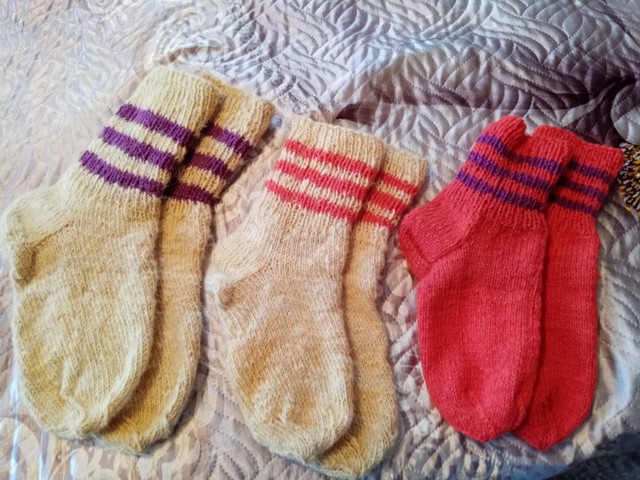 photo 13 03 2025 03