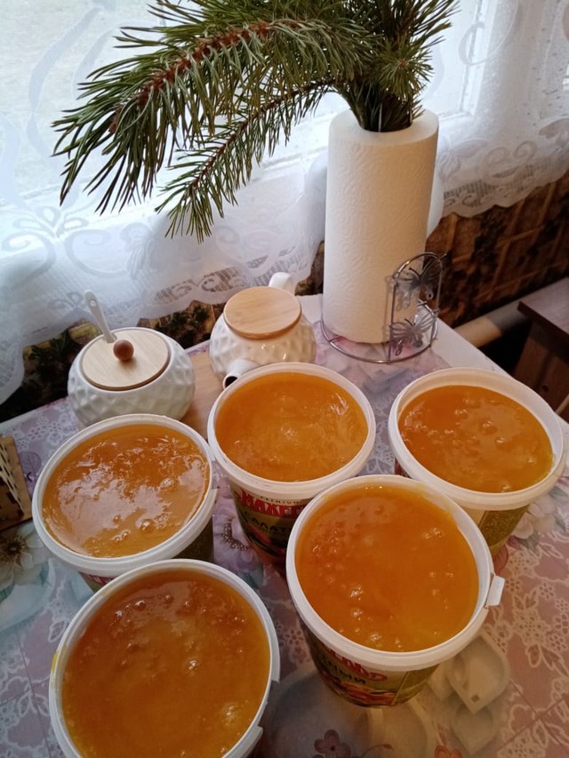 photo 13 03 2025 04