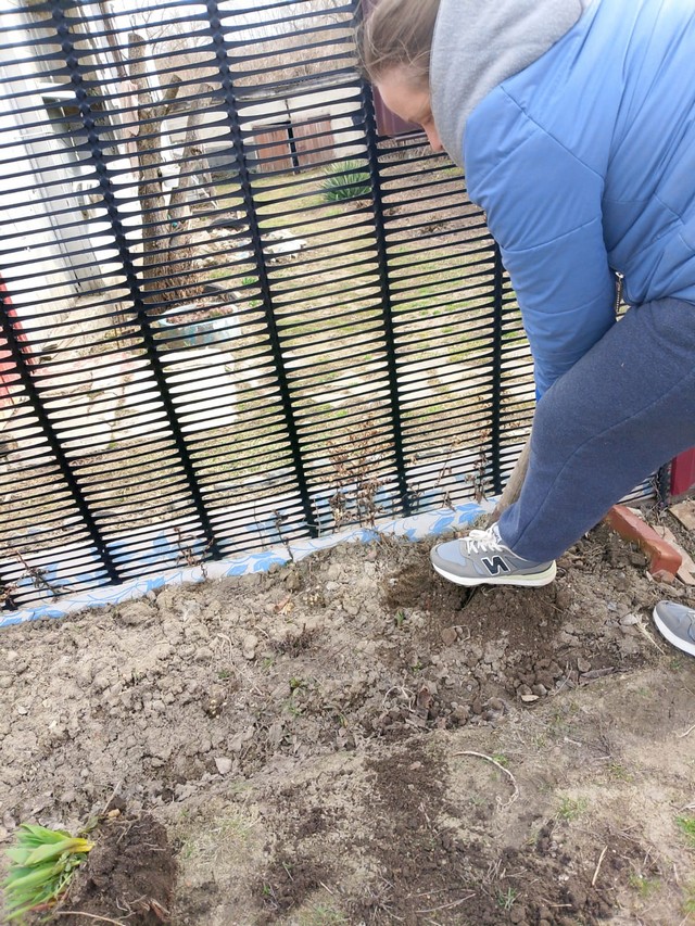 photo 18 03 2025 06