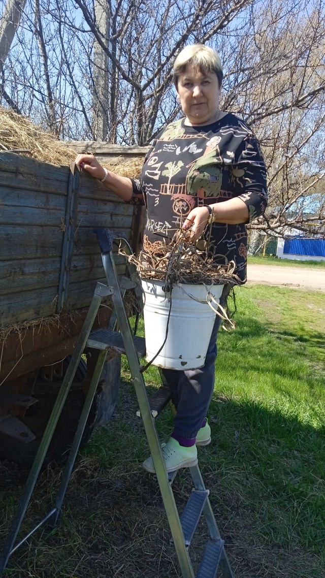 photo 18 04 2025 06